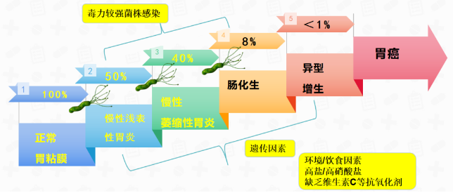 1000余金融精英，光鲜的外表下，80%胃都有问题！